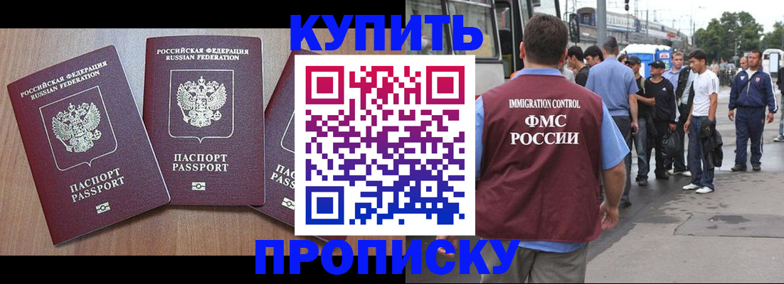прописка 2025 в Александрове